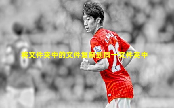 将文件夹中的文件复制到同一文件夹中