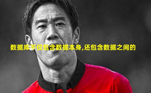 数据库不仅包含数据本身,还包含数据之间的