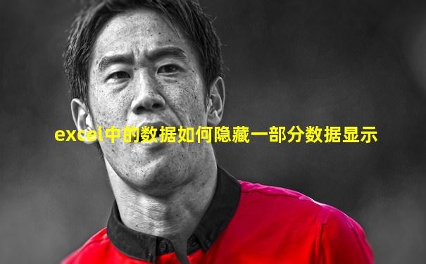 excel中的数据如何隐藏一部分数据显示