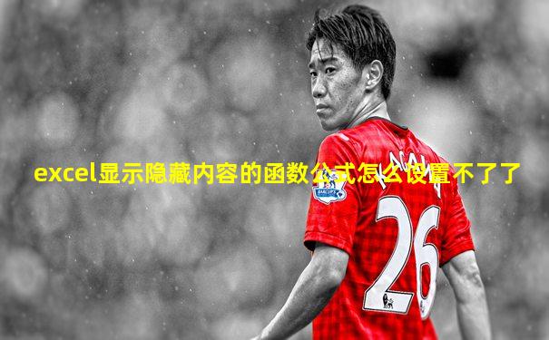 excel显示隐藏内容的函数公式怎么设置不了了
