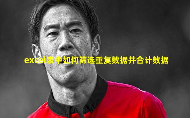 excel表中如何筛选重复数据并合计数据