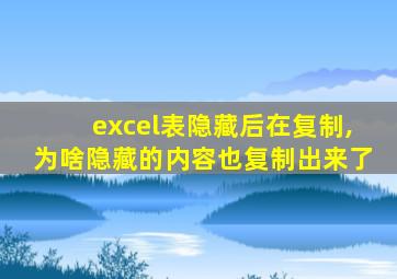 excel表隐藏后在复制,为啥隐藏的内容也复制出来了