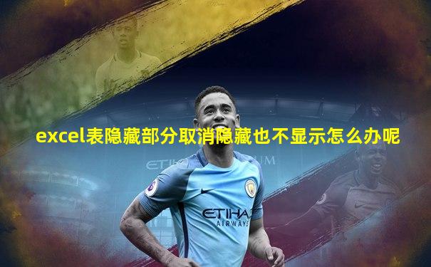 excel表隐藏部分取消隐藏也不显示怎么办呢
