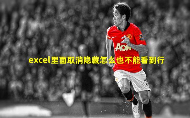excel里面取消隐藏怎么也不能看到行