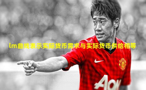 lm曲线表示实际货币需求与实际货币供给相等