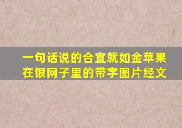 一句话说的合宜就如金苹果在银网子里的带字图片经文