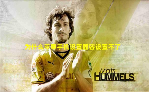为什么苹果手机设置面容设置不了
