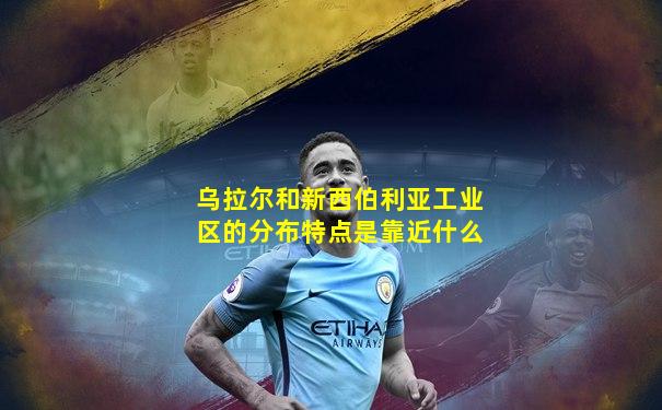 乌拉尔和新西伯利亚工业区的分布特点是靠近什么