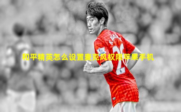 和平精英怎么设置麦克风权限苹果手机
