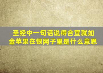 圣经中一句话说得合宜就如金苹果在银网子里是什么意思