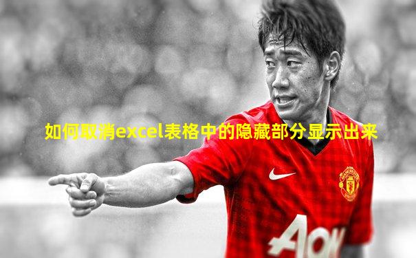 如何取消excel表格中的隐藏部分显示出来