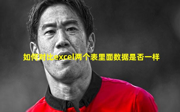 如何对比excel两个表里面数据是否一样