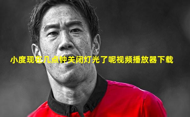 小度现在几点钟关闭灯光了呢视频播放器下载
