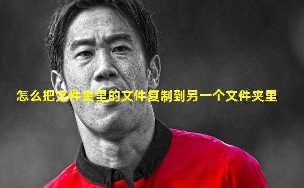 怎么把文件夹里的文件复制到另一个文件夹里