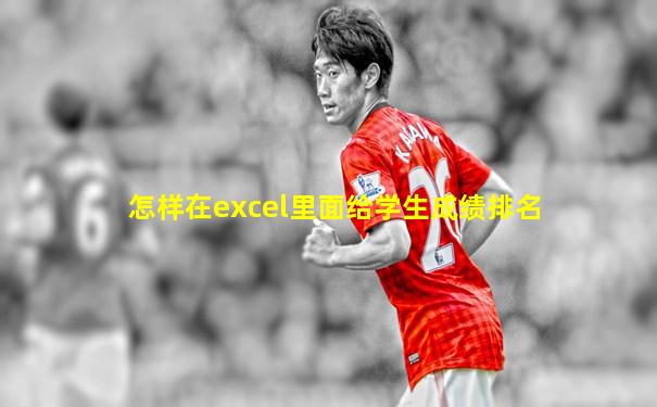 怎样在excel里面给学生成绩排名