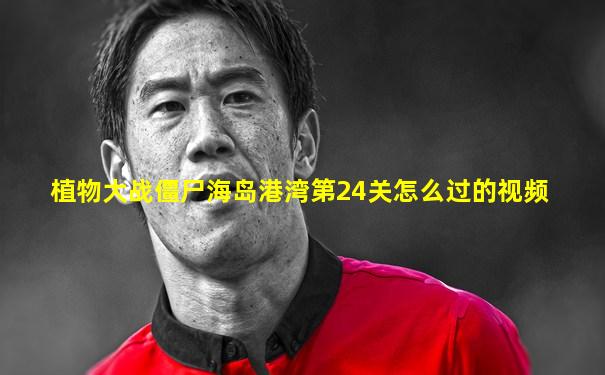 植物大战僵尸海岛港湾第24关怎么过的视频