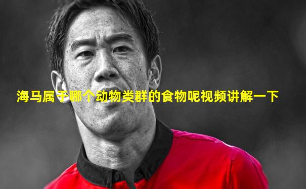 海马属于哪个动物类群的食物呢视频讲解一下