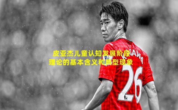 皮亚杰儿童认知发展阶段理论的基本含义和典型现象