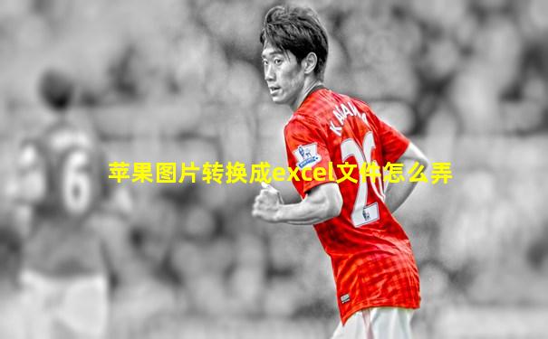 苹果图片转换成excel文件怎么弄