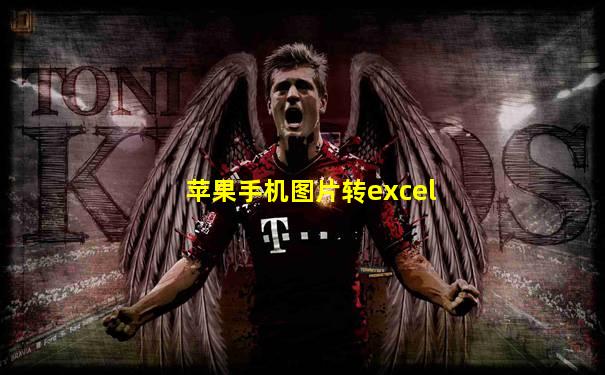 苹果手机图片转excel