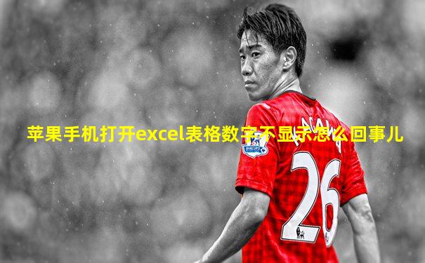 苹果手机打开excel表格数字不显示怎么回事儿