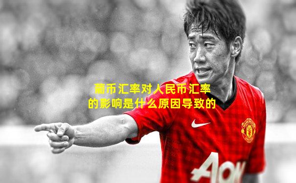葡币汇率对人民币汇率的影响是什么原因导致的