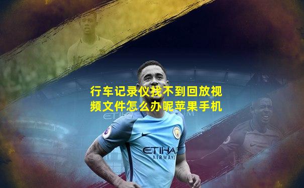 行车记录仪找不到回放视频文件怎么办呢苹果手机