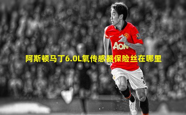 阿斯顿马丁6.0L氧传感器保险丝在哪里